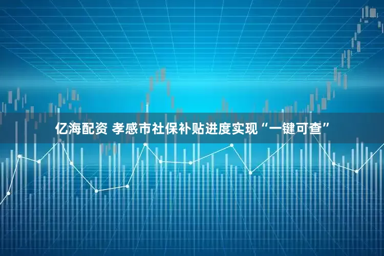 亿海配资 孝感市社保补贴进度实现“一键可查”