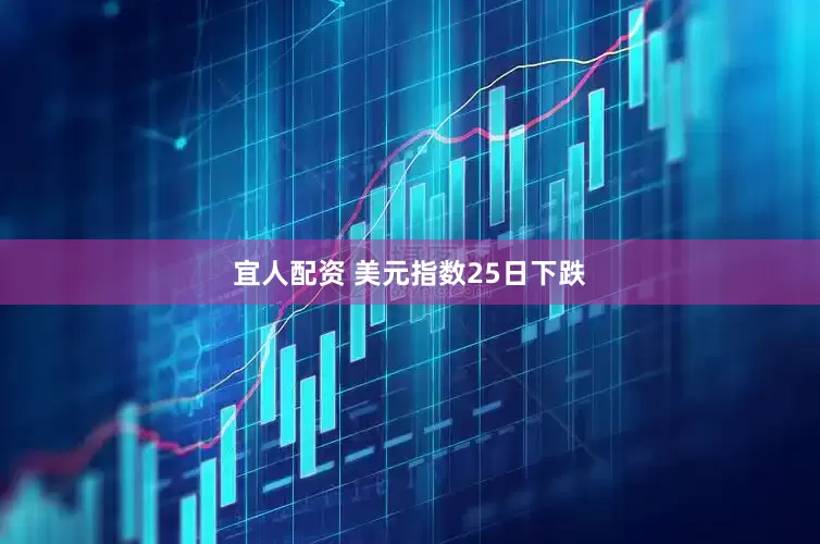 宜人配资 美元指数25日下跌