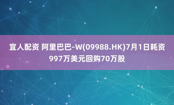 宜人配资 阿里巴巴-W(09988.HK)7月1日耗资997万美元回购70万股