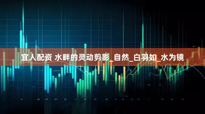 宜人配资 水畔的灵动剪影_自然_白羽如_水为镜