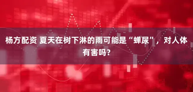 杨方配资 夏天在树下淋的雨可能是“蝉尿”，对人体有害吗？
