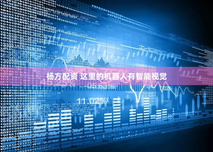 杨方配资 这里的机器人有智能视觉