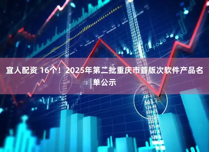宜人配资 16个！2025年第二批重庆市首版次软件产品名单公示