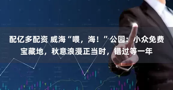 配亿多配资 威海“喂,海!”公园:小众免费宝藏地,秋意浪漫正当时,错过等一年